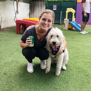 Meet your Posher, Dallas